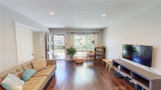 living room featuring dark wood-type flooring