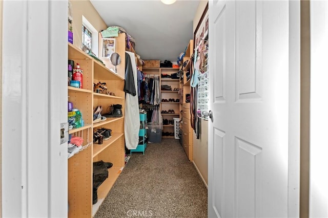 walk in closet with carpet