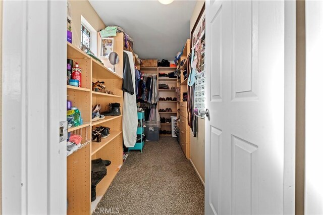 spacious closet featuring carpet floors