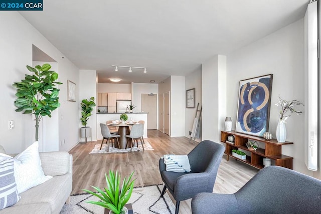 living room featuring light hardwood / wood-style flooring and rail lighting