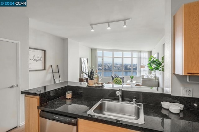 kitchen featuring stainless steel dishwasher, dark stone countertops, a water view, and sink