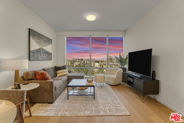 living room with light wood-type flooring