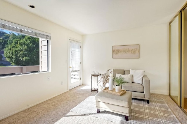 sitting room with carpet flooring