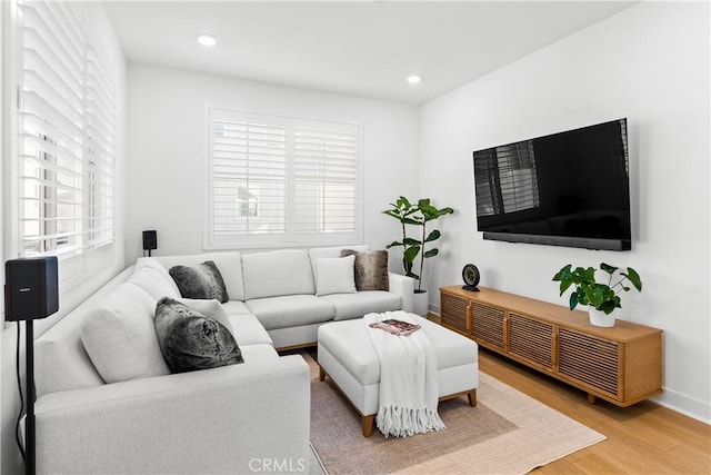 living room with hardwood / wood-style flooring