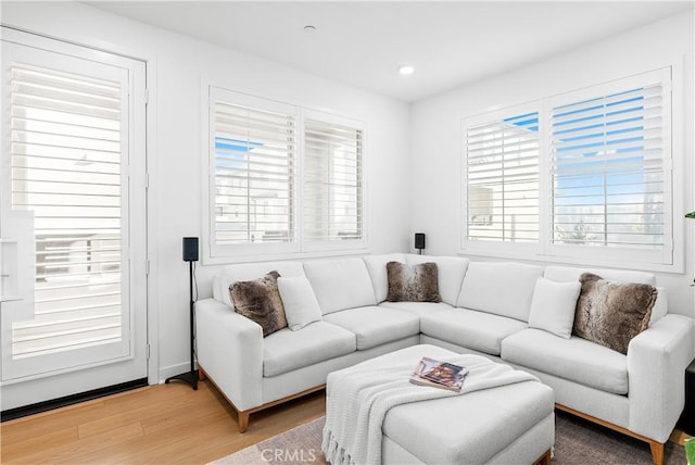 living room featuring hardwood / wood-style floors