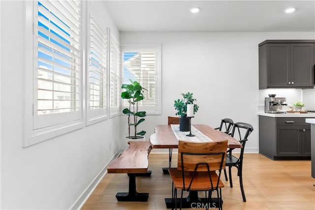 dining room with light hardwood / wood-style floors