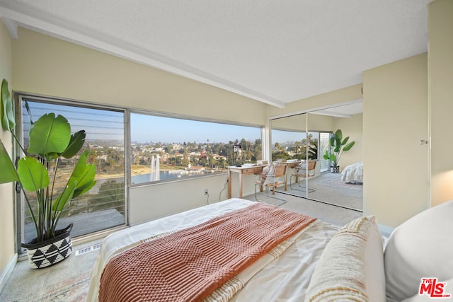 carpeted bedroom with multiple windows and a closet