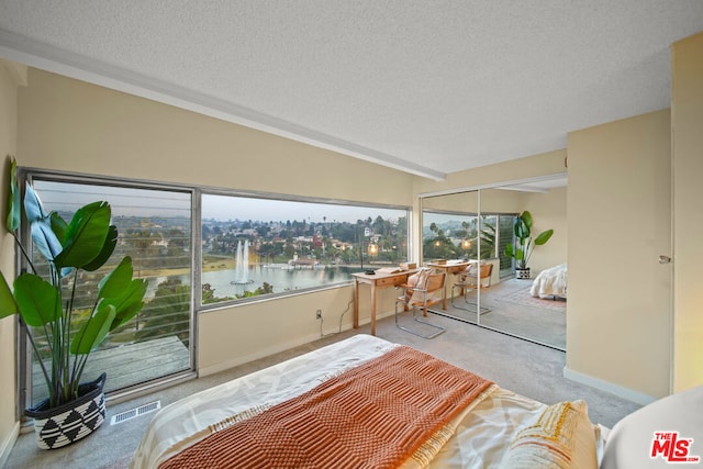 bedroom with a closet, a water view, light colored carpet, and a textured ceiling