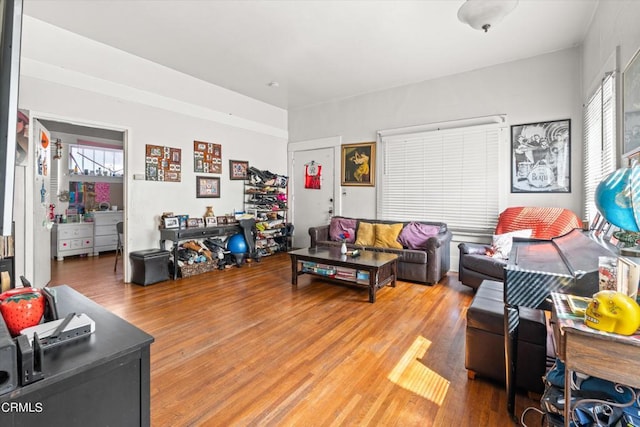 living room with wood-type flooring