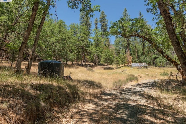 view of local wilderness