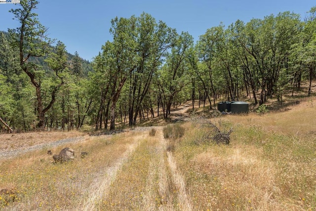 view of local wilderness