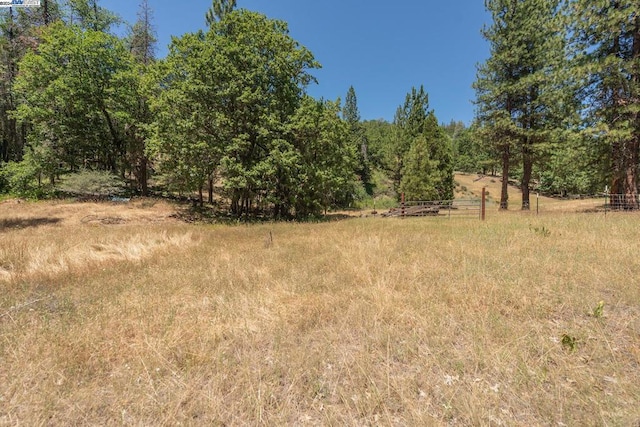 view of landscape featuring a rural view