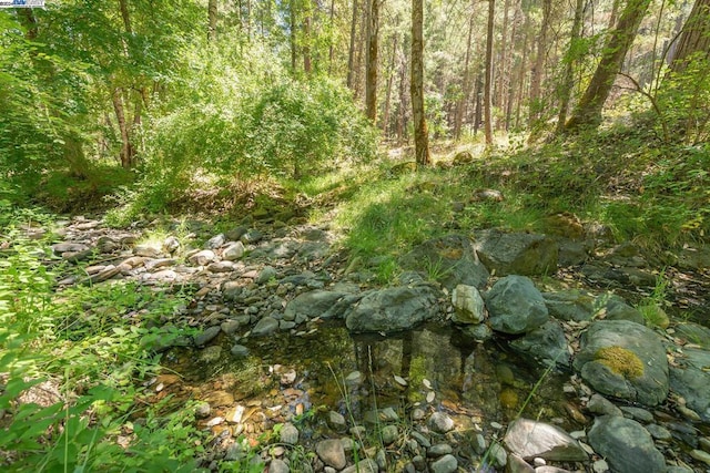 view of landscape