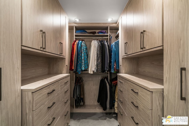 view of spacious closet