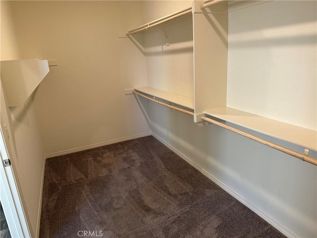 spacious closet with dark carpet