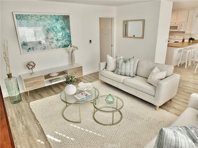 living room featuring hardwood / wood-style flooring