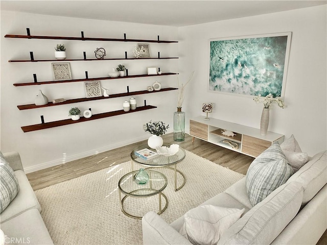 living room featuring hardwood / wood-style flooring