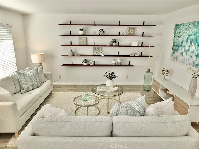 living room featuring light hardwood / wood-style floors