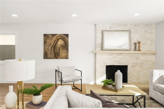 living area featuring wood-type flooring and a fireplace