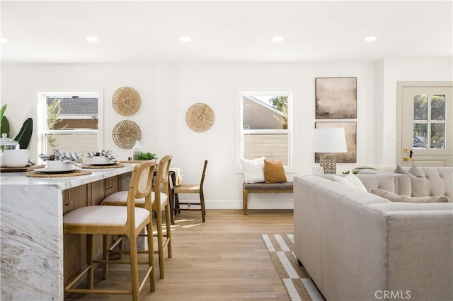 living room with light hardwood / wood-style flooring