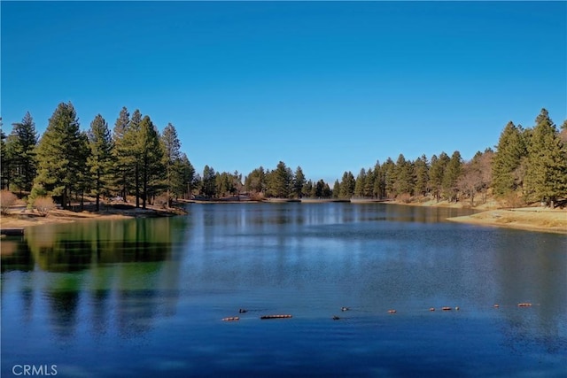 view of water feature