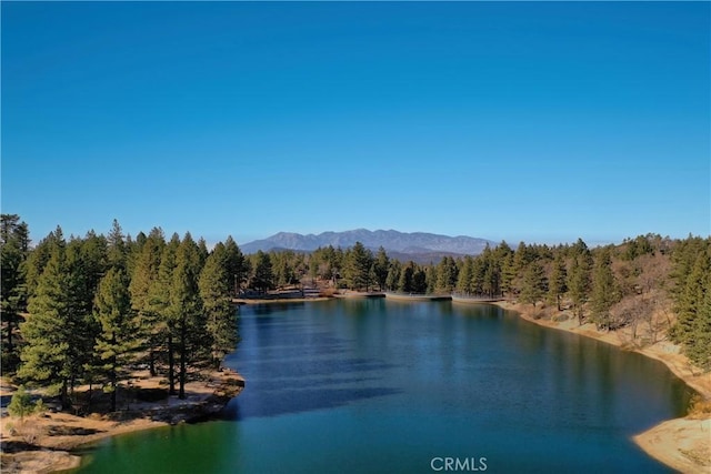 property view of water with a mountain view