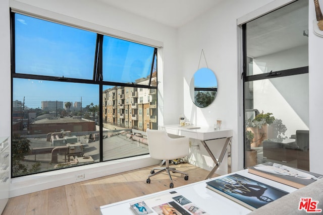 office space featuring hardwood / wood-style floors