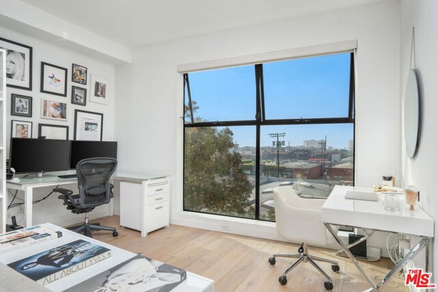 office space with light hardwood / wood-style flooring