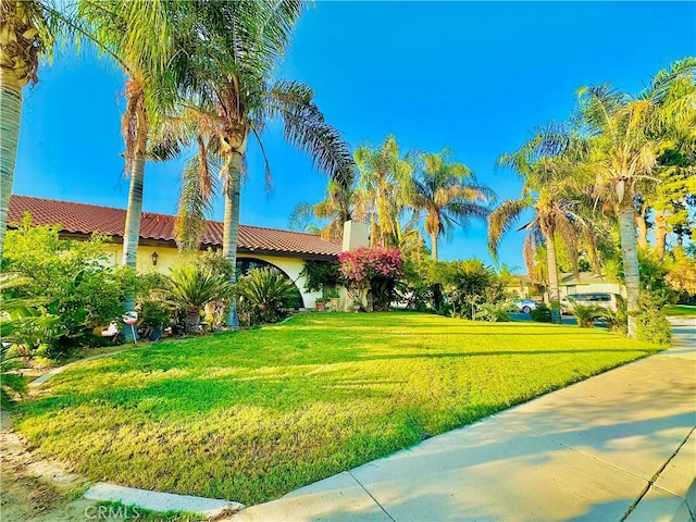 view of front of house with a front yard