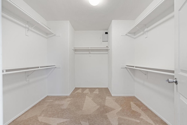 walk in closet featuring light colored carpet