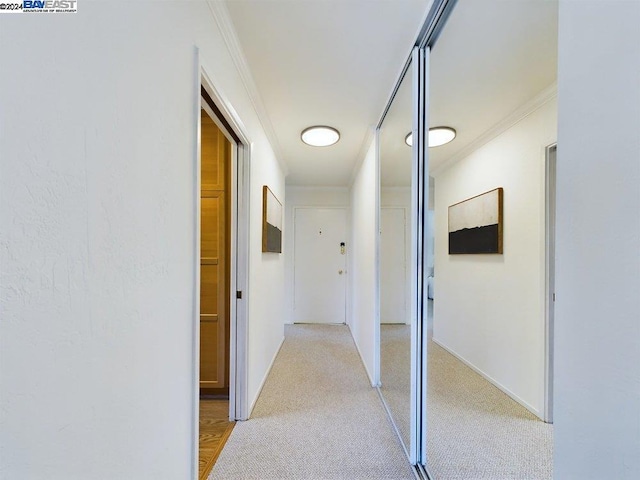 hall featuring light colored carpet and crown molding