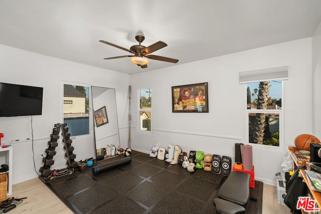 workout room with ceiling fan and light hardwood / wood-style flooring