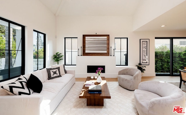 living room featuring light hardwood / wood-style flooring, high vaulted ceiling, and a healthy amount of sunlight