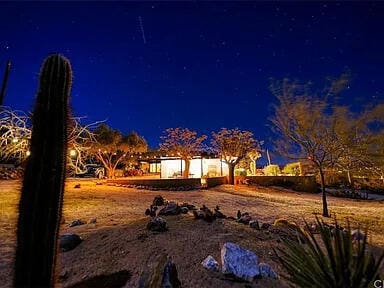 view of yard at night