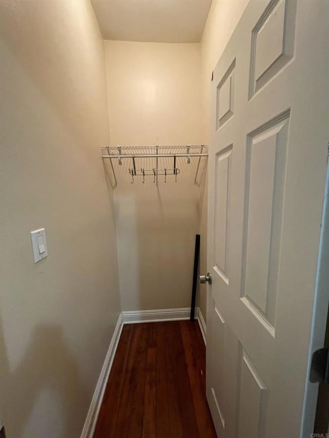 spacious closet featuring dark hardwood / wood-style flooring