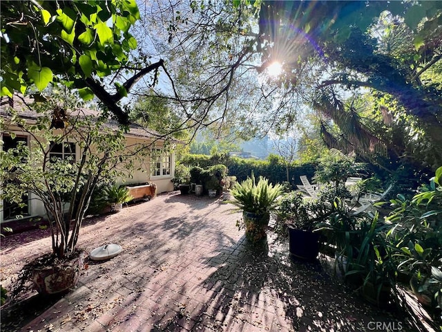 view of yard featuring a patio