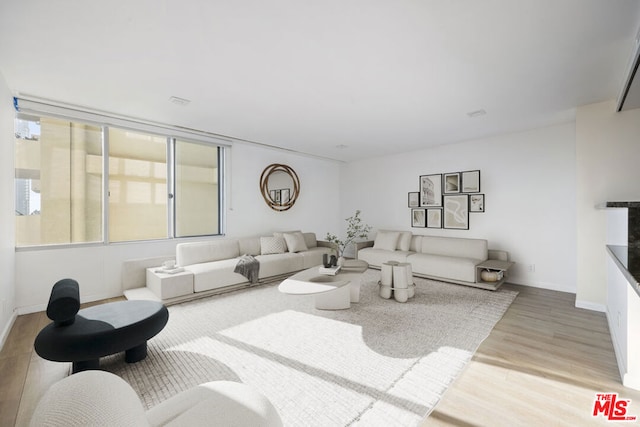 living room featuring hardwood / wood-style floors