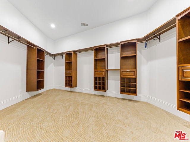 spacious closet featuring carpet flooring