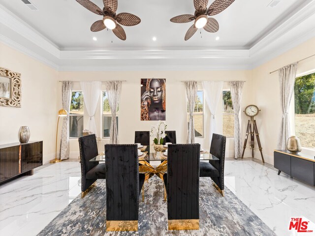 dining area featuring a healthy amount of sunlight and a tray ceiling