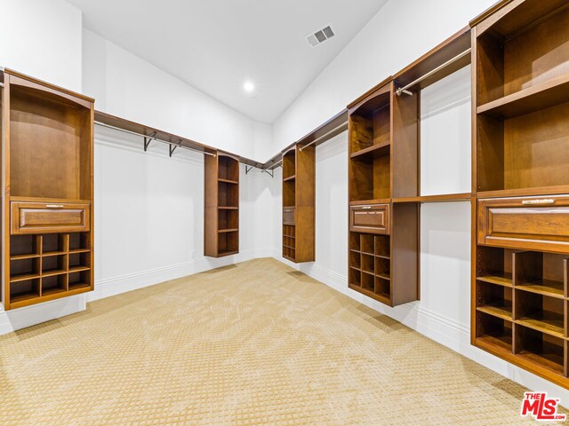 walk in closet with carpet flooring