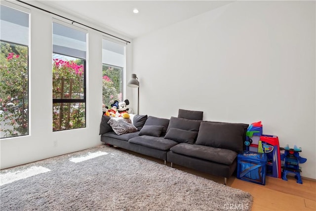 living room featuring light hardwood / wood-style flooring