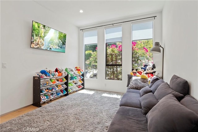 playroom with a healthy amount of sunlight and wood-type flooring