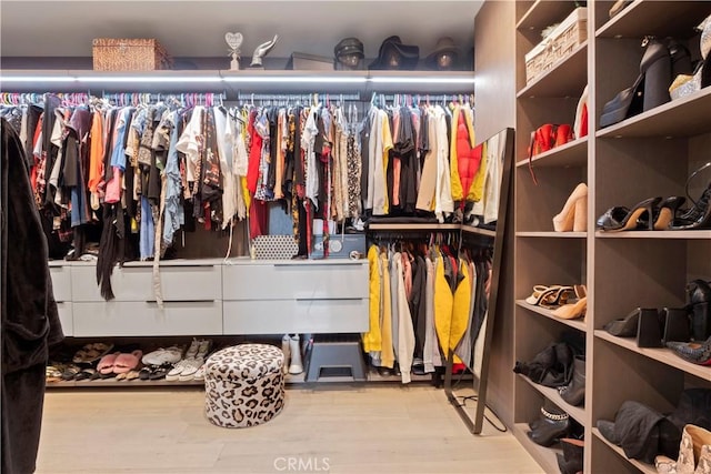 spacious closet featuring light hardwood / wood-style flooring