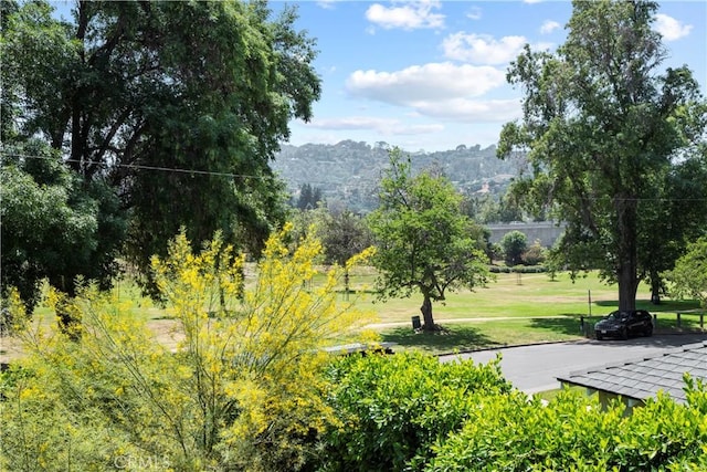 view of community with a mountain view and a yard