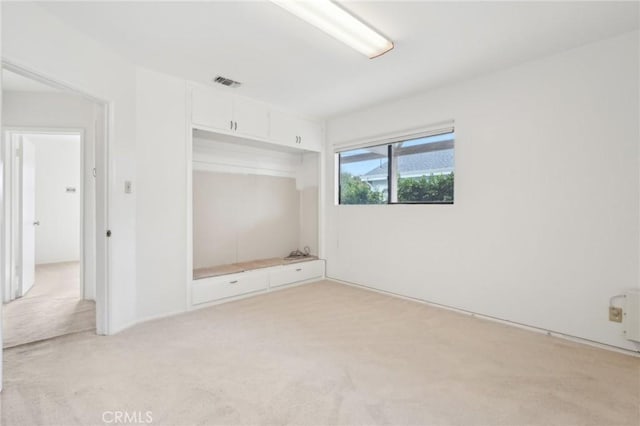 interior space with a closet and light colored carpet