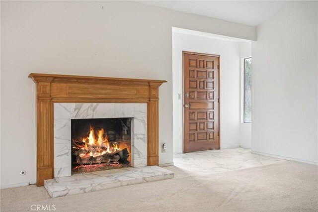 room details with carpet floors and a fireplace