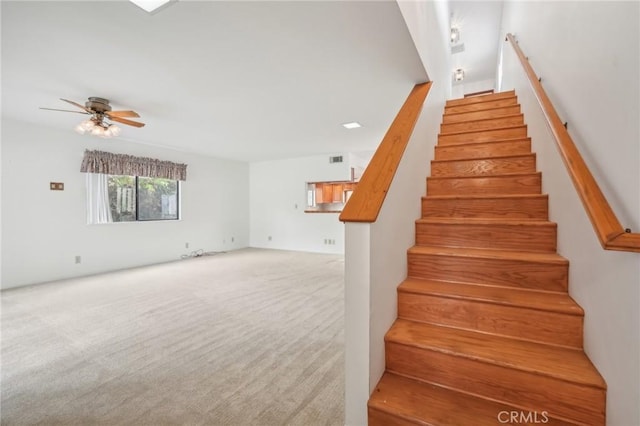 stairs featuring carpet flooring and ceiling fan