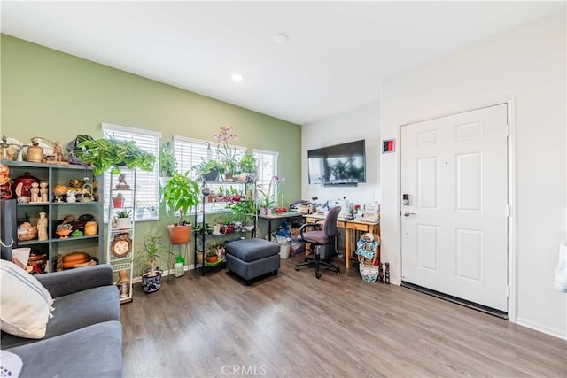 playroom featuring wood-type flooring