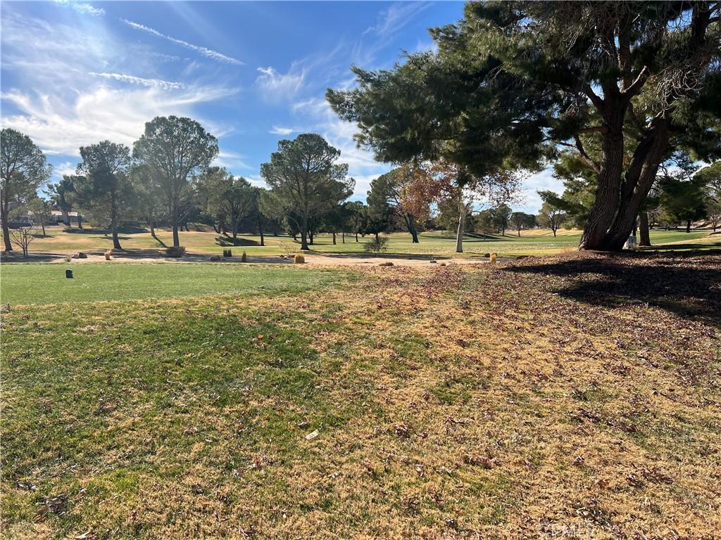 14789 Greenbriar Dr, Helendale, CA 92342