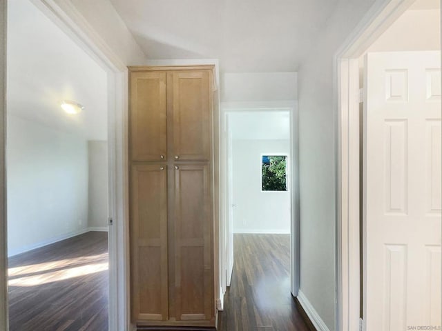 hallway featuring dark hardwood / wood-style floors